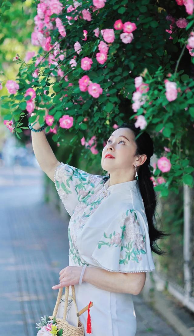 最美四月蔷薇花