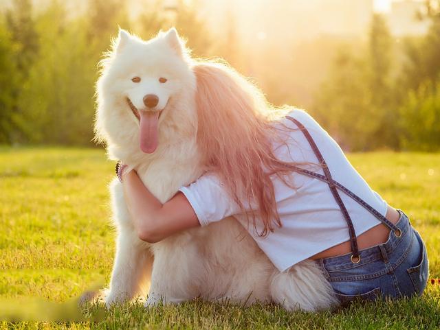怎么样抱狗狗是正确姿势(抱狗狗的正确姿势图解)-艾拉养犬