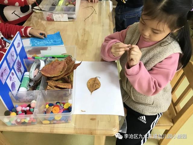 「2021112」树真好——《鹿宝儿与树》中班园本课程（二）