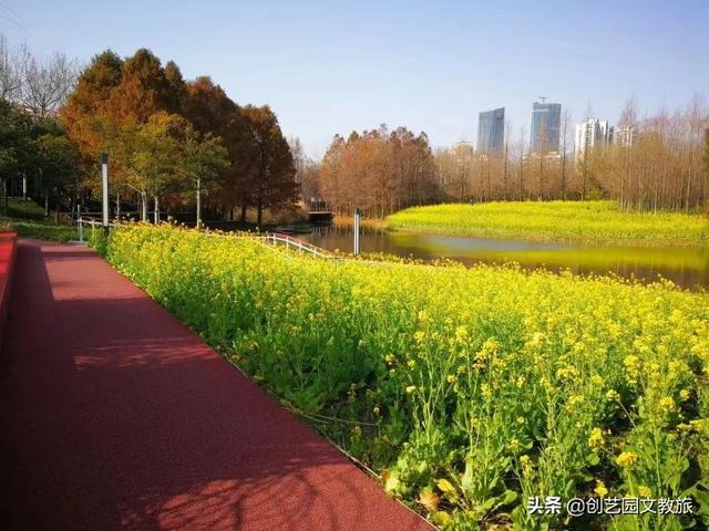 上海湿地公园