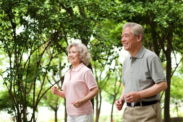 长寿老人的真正秘诀