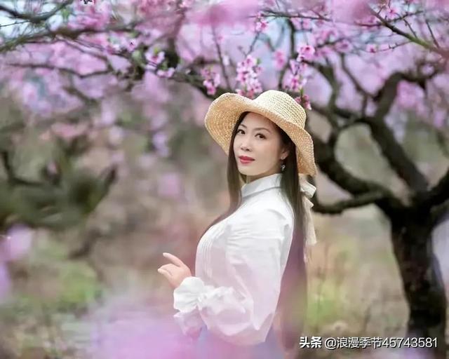 岁月，花香相伴；时光，静守流年！「散文」