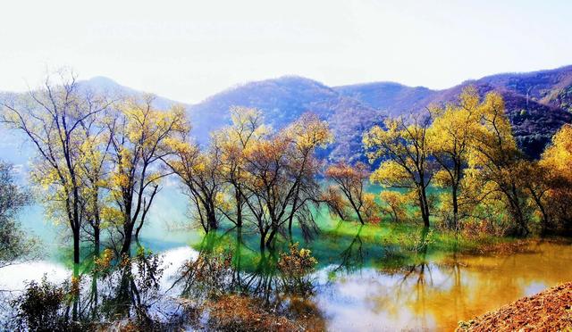 不是仙境，勝似仙境的地方——西鄉三花石