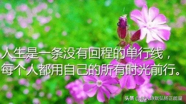 感悟人生的经典句子