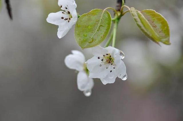 https://blog.sina.com.cn/s/blog_95b83d1401030ldj.html