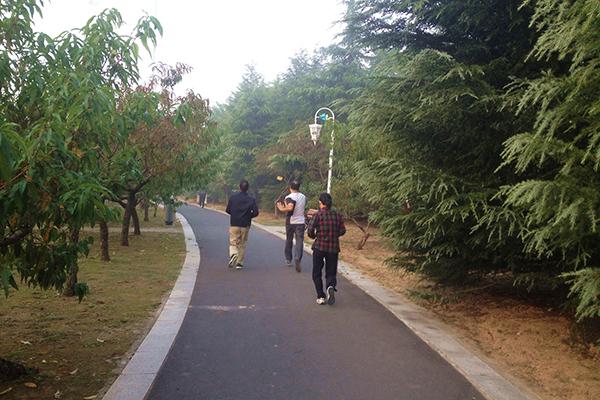 大雪已过，万物收藏，你的健康知识该更新了，一文为你归纳