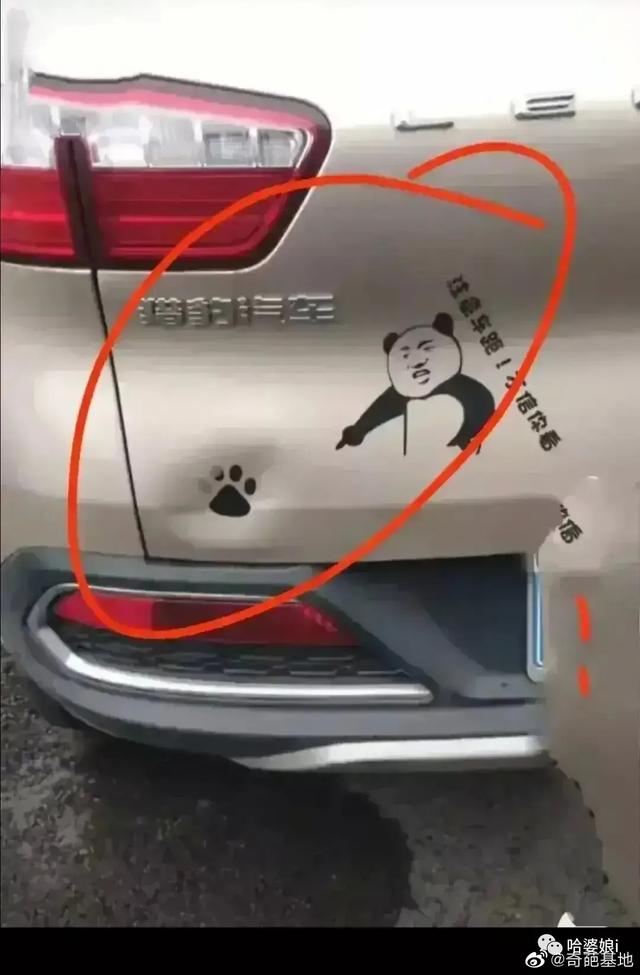 人类理解能力的天花板，在互联网上究竟能离谱到什么程度？