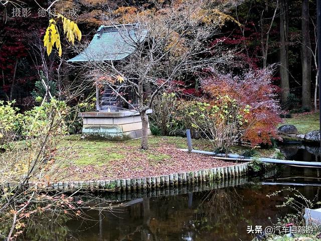德村志成：落葉殘楓依然美麗，久違北小金本土寺