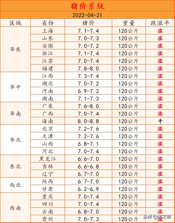 火力全开！猪价“冲天大涨”，多地猪价“破7冲8”，发生了啥？