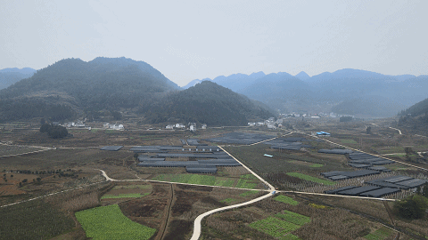 遵义大型木材破碎机