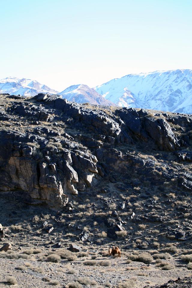 登天山雪線，遇罕見石林，遇絕美冰瀑，行走的魅力，在不經意相逢