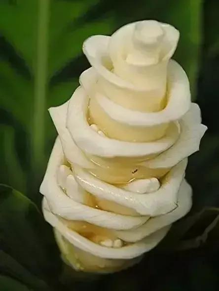 晨光暮语集