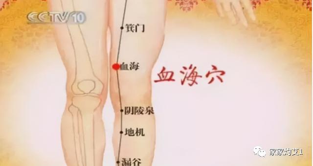 春季爱过敏？艾灸5穴拯救过敏体质，大人孩子都适用