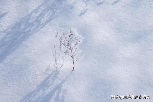 形容雪的成语有什么意思是什么