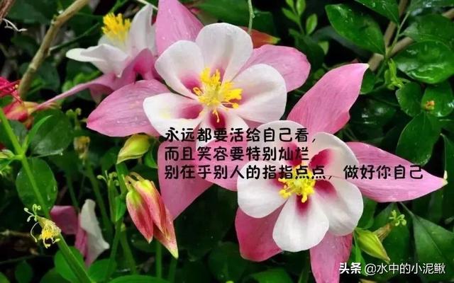 微信早安<a href=https://maguai.com/list/46-0-0.html target=_blank class=infotextkey>语录</a>正能量句子 早安图片激励语
