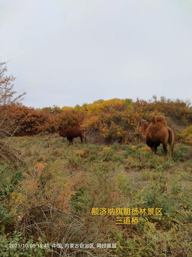 西行漫記之10月5日內蒙古篇