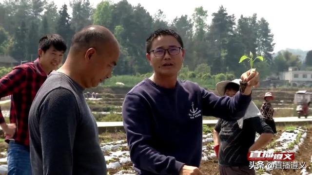 田浩：用辣味青春书写无悔人生