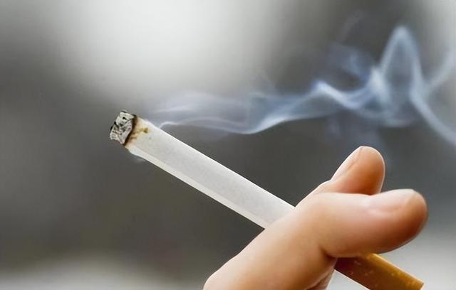 坚持散步对肺好？提示：肺脏可能更喜欢3件事，不妨尝试一下