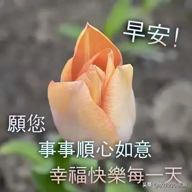 早安正能量励志语录，最新早安语录句子，新的开始