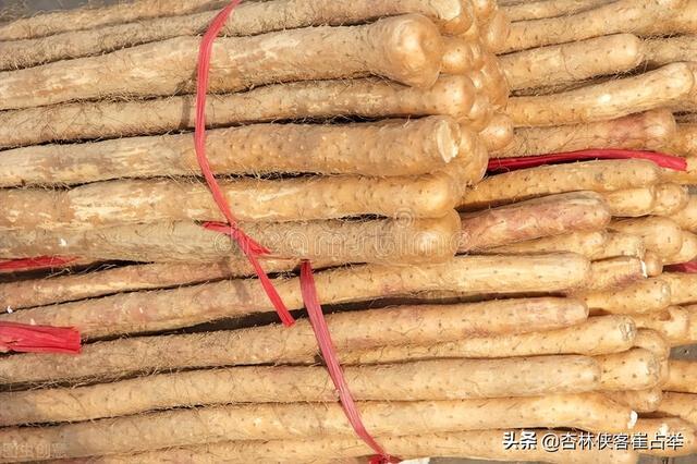 人长得不胖，肚子却很大，是脾虚吗？中医教你一个简单实用的方法