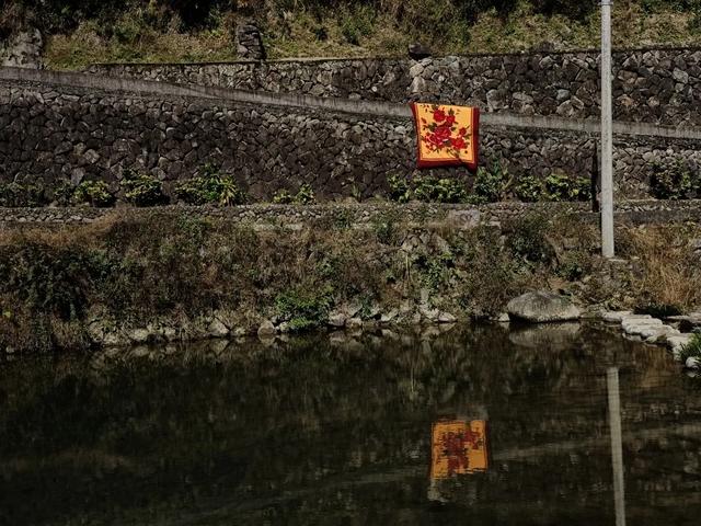 慶元村落｜壩頭村 · 千年古村藏深閨 靜候貴客探新顔