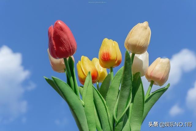 爱自己，比爱这个世界更重要