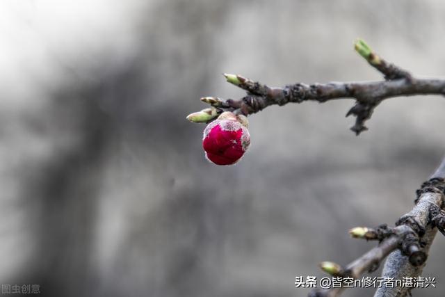 一个人命里的福祸，皆是定数