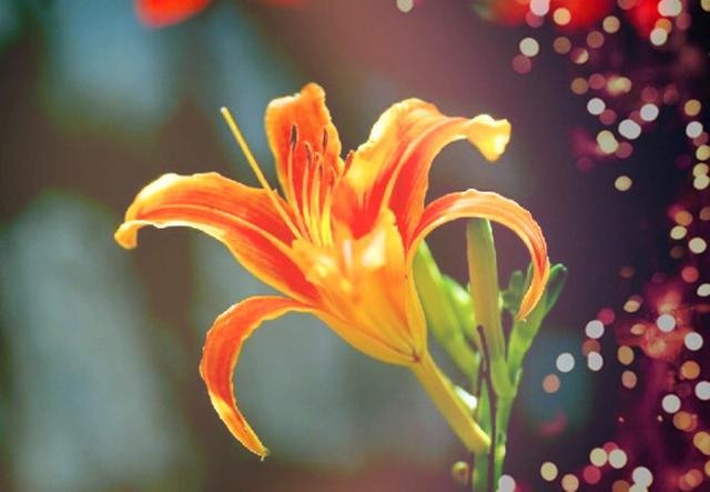 古诗词常用典故善哉乎鼓琴汤汤乎若流水 新闻时间