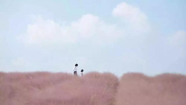 “我是707班最帅的帅哥，太帅啦”：厚脸皮的孩子到底赢在了哪里