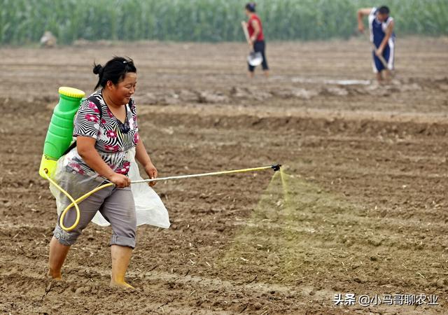 如何分辨真假芸苔素内酯，教大家4个方法，避免上当吃亏8