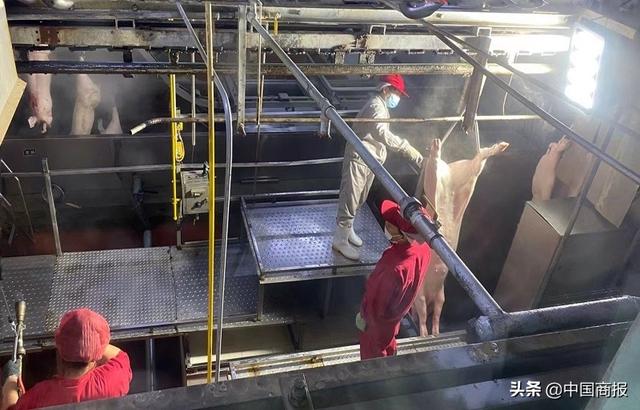养猪大户强势加码屠宰产能，屠宰企业还坐得住吗