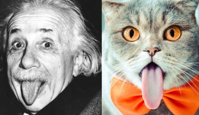 家长请注意：隐藏在孩子可爱动作之后的，可能是口腔健康危机