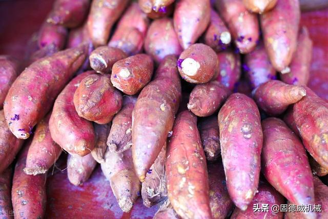 红薯打粉过滤机