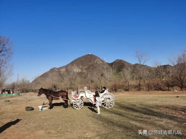 搭帐篷、放风筝、草坪疯跑，山谷里的遛娃宝地，快放入私藏名单