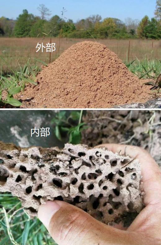 千万别碰！严重可致人死亡