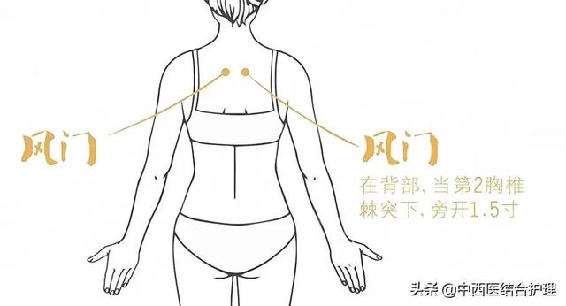 「经络穴位养生科普」预防百种慢性疾病的妙法