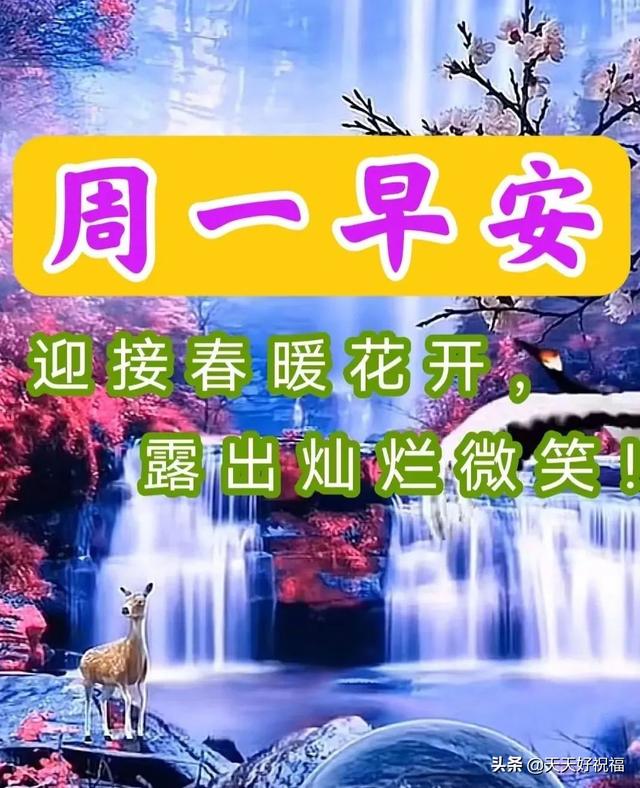 周一早上问候语温馨周一早上好祝福语图片