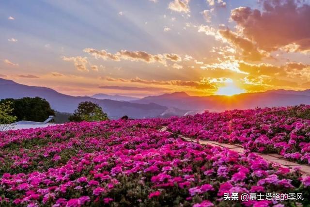 冬天不用去海南了，這5座小城都是老年人過冬避寒的好地方