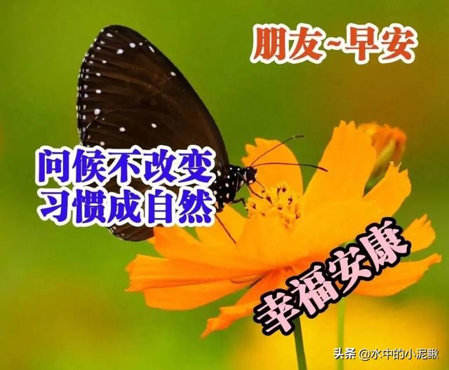正能量的早安句子致自己 送给自己的早安心语经典