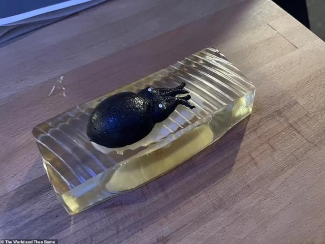 外國博主吐槽最糟米其林，27道奇葩菜，還要從主廚嘴裏舔著吃
