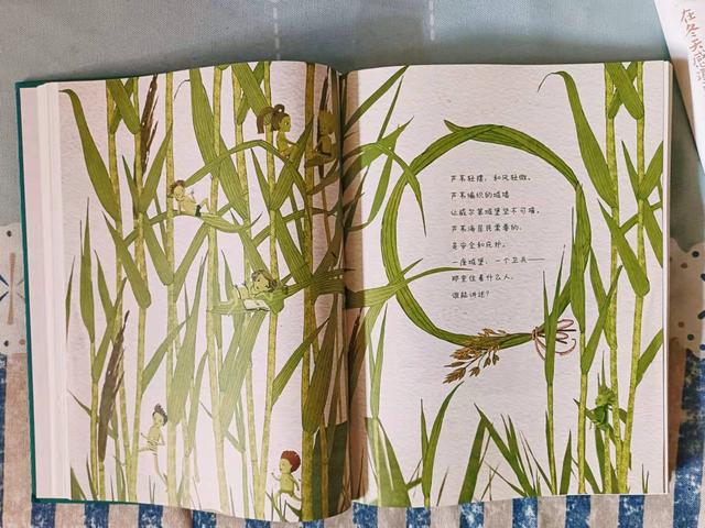 媲美《柳林风声》的经典获奖儿童成长之书，值得收藏