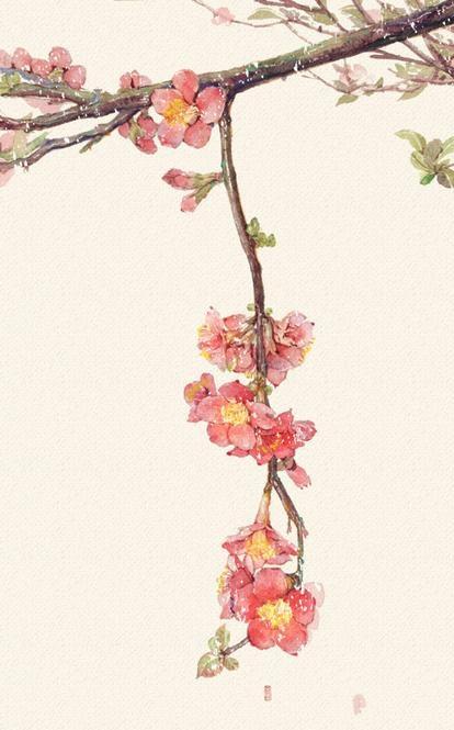 散文：岁月花开，等美好归来；岁月如墨，勾勒人生淡然