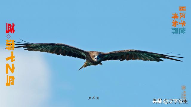 鹄的是什么意思