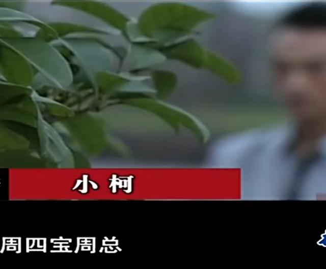 2012年，司机被火烧死，巨额保险引起警方怀疑，情人短信暴露真相