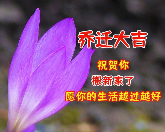 朋友圈曬新家的句子搬新家祝福語喬遷之喜