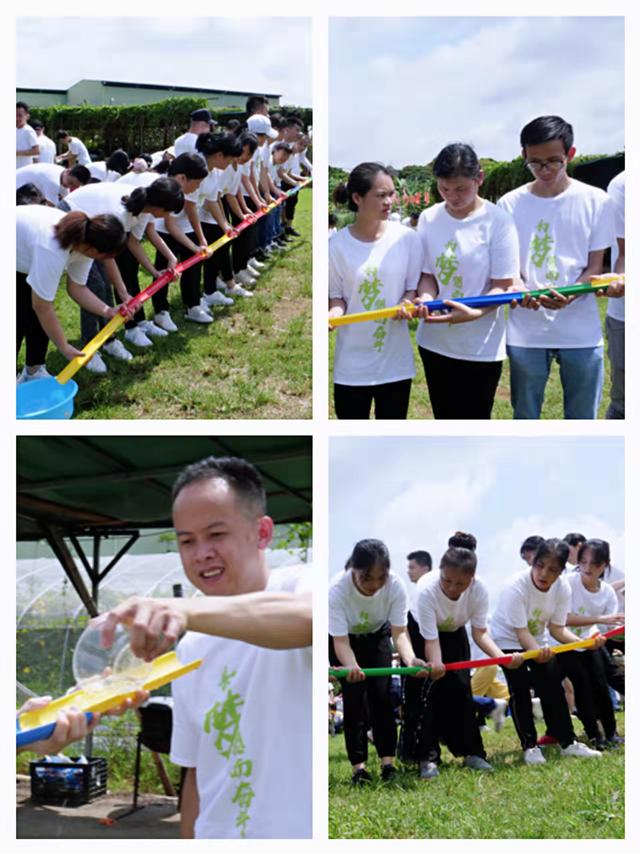 深圳周边适合团建的地方