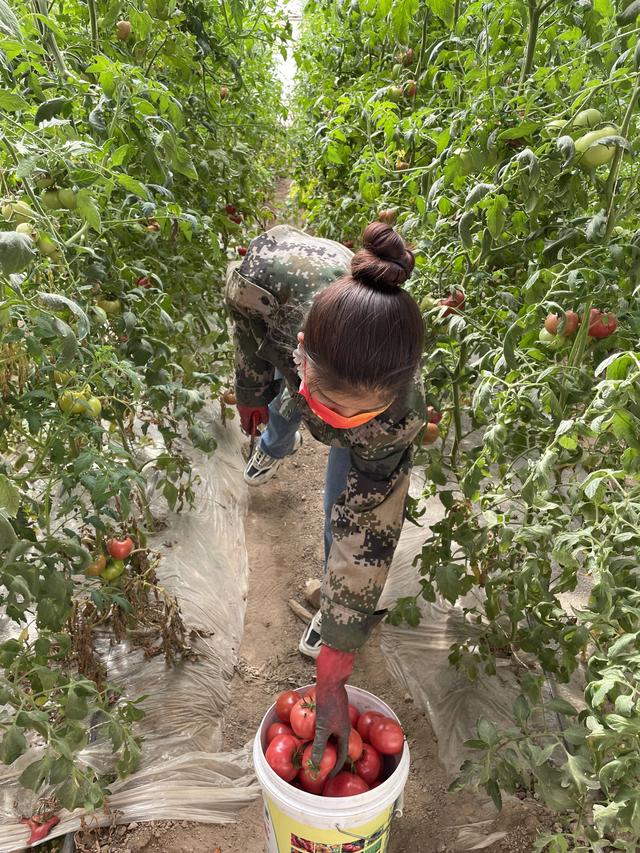 种好“菜园子”鼓起钱袋子