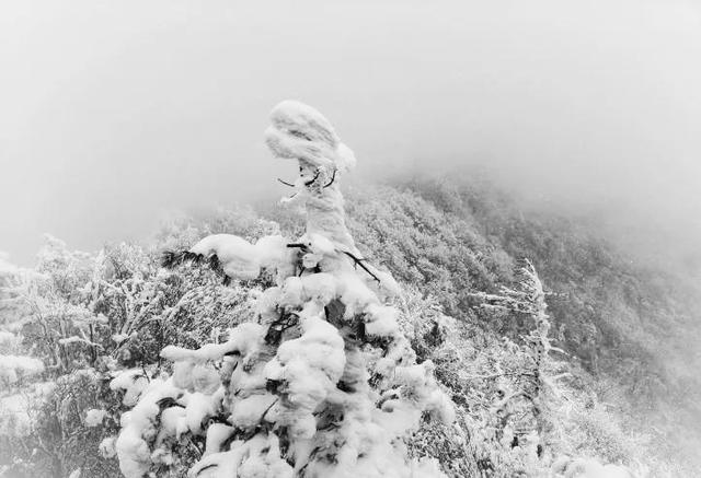 秦嶺古道探秘：水墨義谷古道