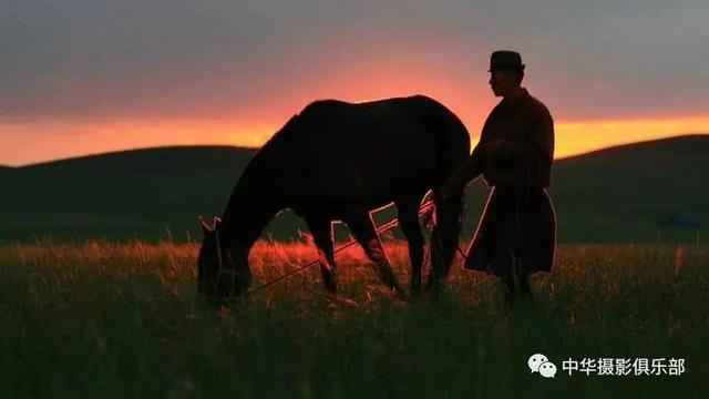 太美了！金奖摄影作品欣赏——