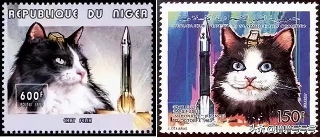 为人类太空事业做出贡献的动物们